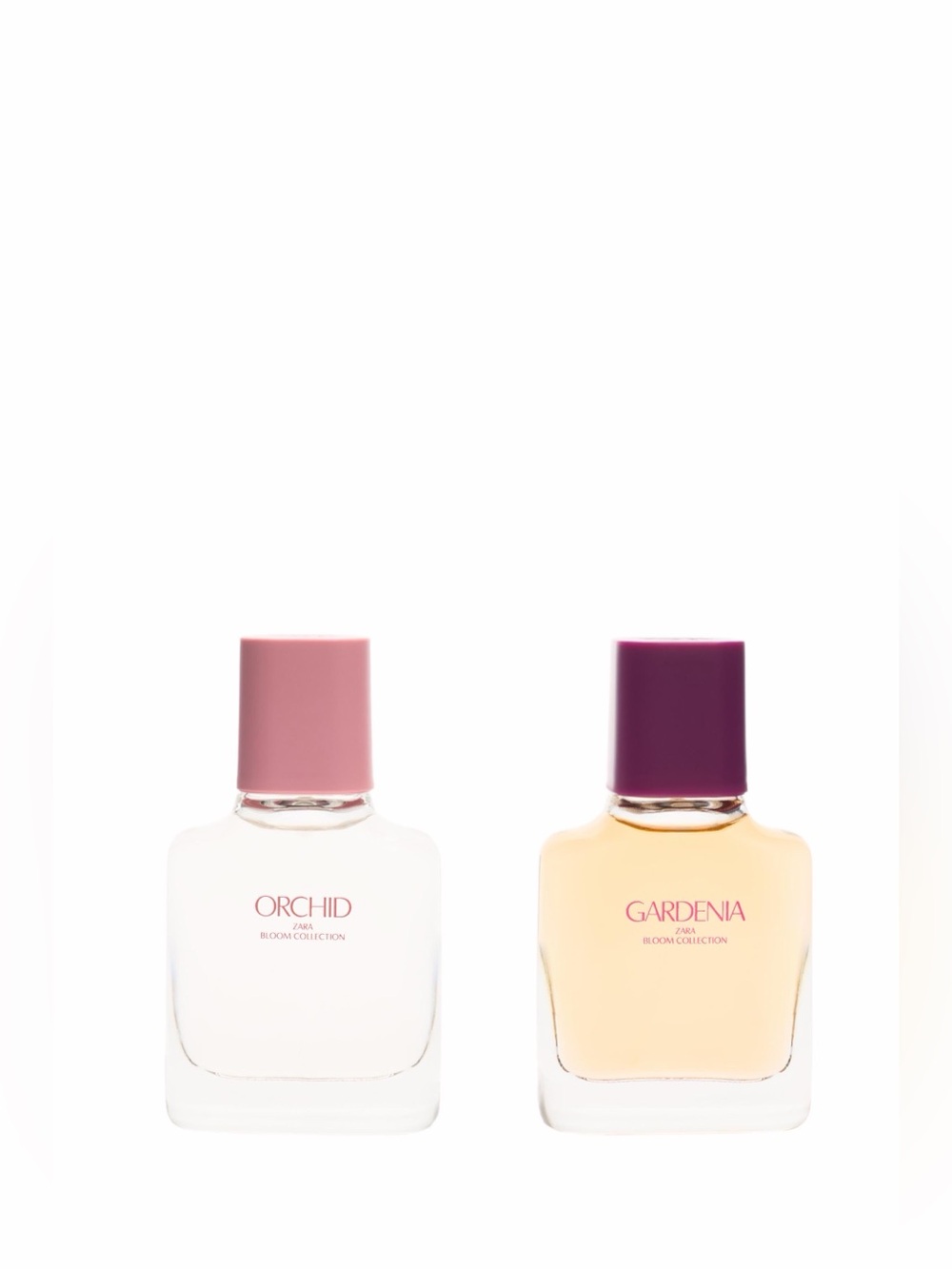 Zara Gardenia & Orchid Bloom Collection - Picture 6 of 8
